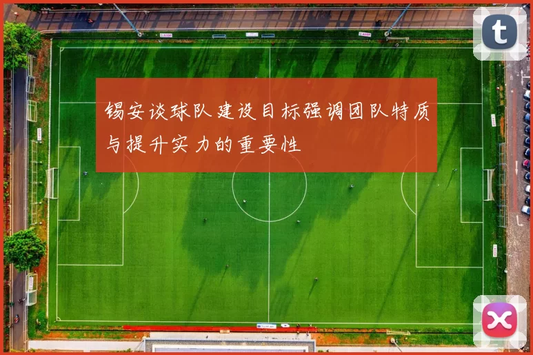 锡安谈球队建设目标强调团队特质与提升实力的重要性